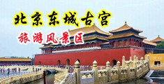 日少妇逼中国北京-东城古宫旅游风景区