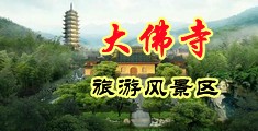 鸡巴'逼影院中国浙江-新昌大佛寺旅游风景区